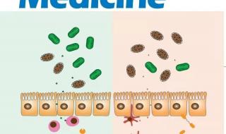 2014年sci影响因子